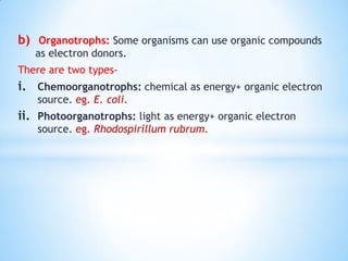 Nutritional requirements in bacteria | PDF