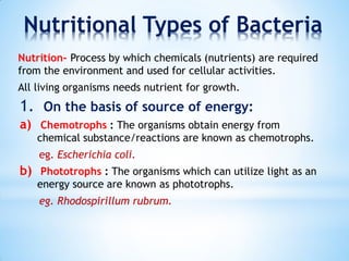 Nutritional requirements in bacteria
