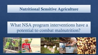 Nutritional Sensitive Agriculture
What NSA program interventions have a
potential to combat malnutrition?
 