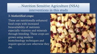 …Nutrition Sensitive Agriculture (NSA)
interventions in this study
3- biofortified crops:
These are nutritionally enhanced
food crops with increased
bioavailability of nutrients
especially vitamins and minerals
through breeding. These crops are
grown using modern
biotechnology techniques and
require special care otherwise they
die.
 