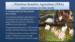 …Nutrition Sensitive Agriculture (NSA)
interventions in this study
4- rearing small and big animals
(live stock):
As nutrition sensitive agriculture is
concerned, by small animals we
mean those we can eat. And here
rabbits are are more suit.
To generalize this point, I will include
poultry and fish farming in this point
If chicken are kept at home, children
under 5 will have access to high
biological value protein sources (eggs)
 