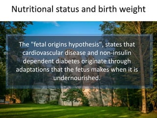 Nutritional status and birth weight
The "fetal origins hypothesis", states that
cardiovascular disease and non-insulin
dependent diabetes originate through
adaptations that the fetus makes when it is
undernourished.
 