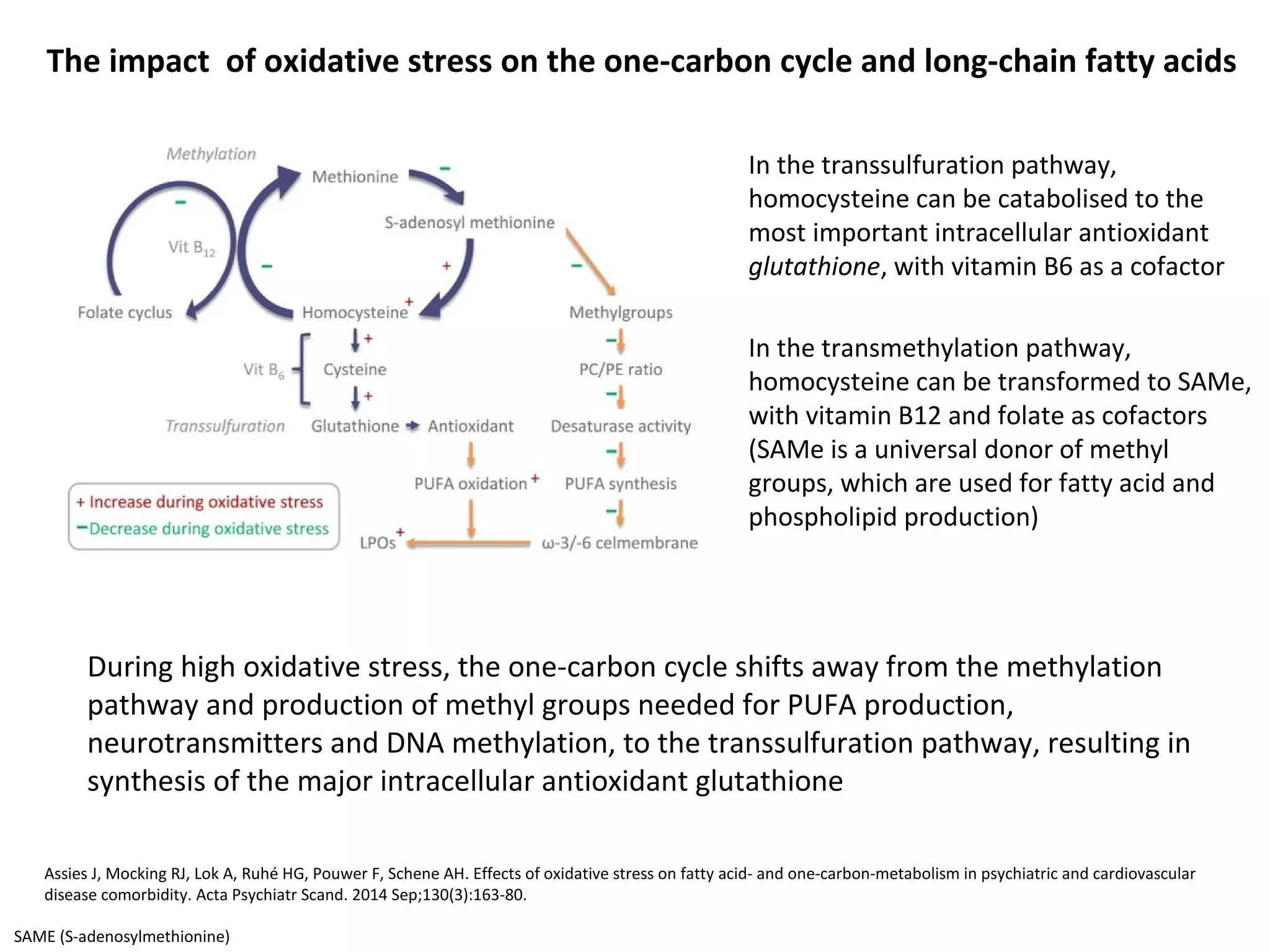 In the transsulfuration pathway,
homocysteine can be catabolised to the
most important intracellular antioxidant
glutathione, with vitamin B6 as a cofactor
In the transmethylation pathway,
homocysteine can be transformed to SAMe,
with vitamin B12 and folate as cofactors
(SAMe is a universal donor of methyl
groups, which are used for fatty acid and
phospholipid production)
SAME (S-adenosylmethionine)
During high oxidative stress, the one-carbon cycle shifts away from the methylation
pathway and production of methyl groups needed for PUFA production,
neurotransmitters and DNA methylation, to the transsulfuration pathway, resulting in
synthesis of the major intracellular antioxidant glutathione
Assies J, Mocking RJ, Lok A, Ruhé HG, Pouwer F, Schene AH. Effects of oxidative stress on fatty acid- and one-carbon-metabolism in psychiatric and cardiovascular
disease comorbidity. Acta Psychiatr Scand. 2014 Sep;130(3):163-80.
The impact of oxidative stress on the one-carbon cycle and long-chain fatty acids
 