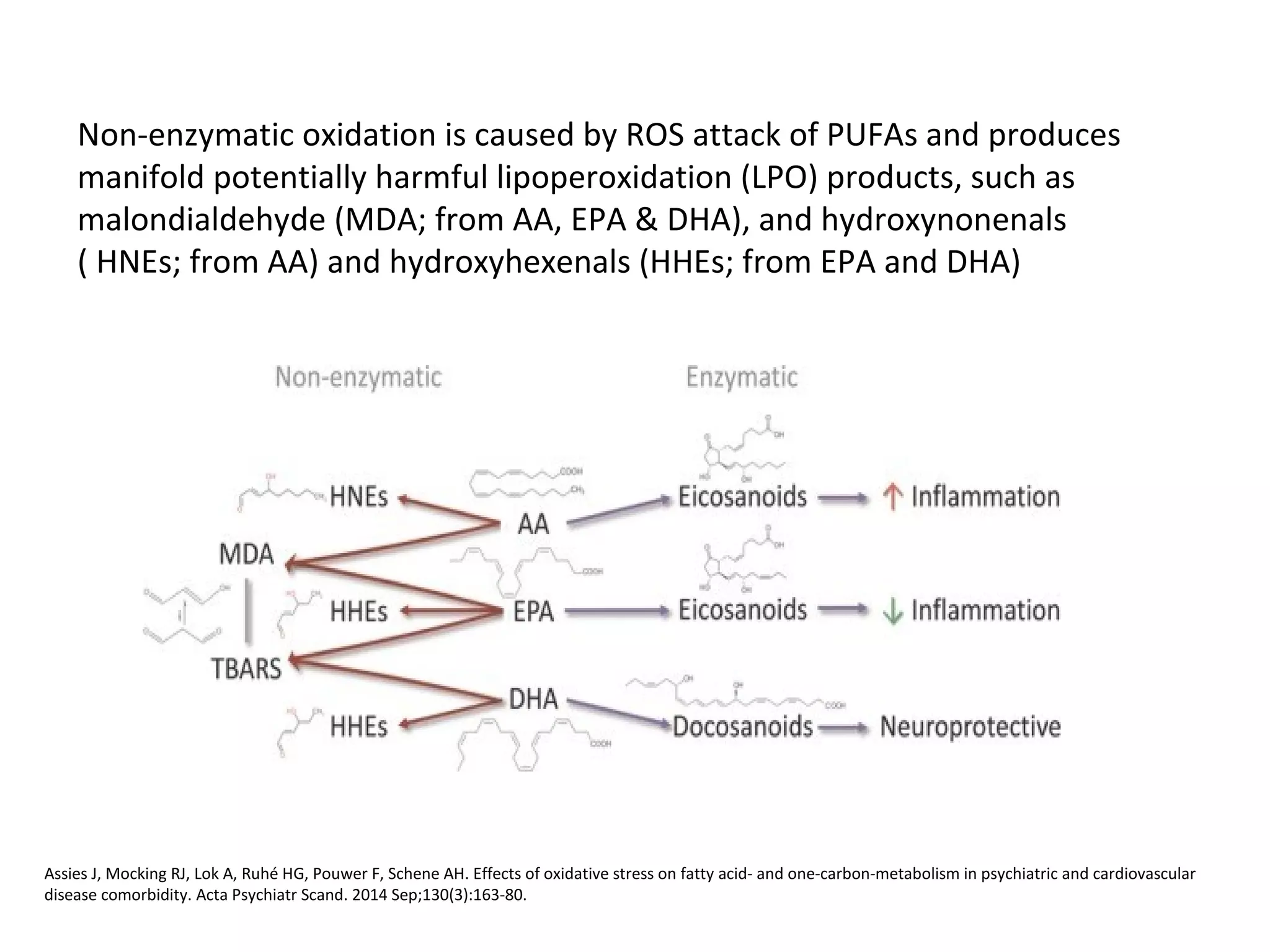 Non-enzymatic oxidation is caused by ROS attack of PUFAs and produces
manifold potentially harmful lipoperoxidation (LPO) products, such as
malondialdehyde (MDA; from AA, EPA & DHA), and hydroxynonenals
( HNEs; from AA) and hydroxyhexenals (HHEs; from EPA and DHA)
Assies J, Mocking RJ, Lok A, Ruhé HG, Pouwer F, Schene AH. Effects of oxidative stress on fatty acid- and one-carbon-metabolism in psychiatric and cardiovascular
disease comorbidity. Acta Psychiatr Scand. 2014 Sep;130(3):163-80.
 