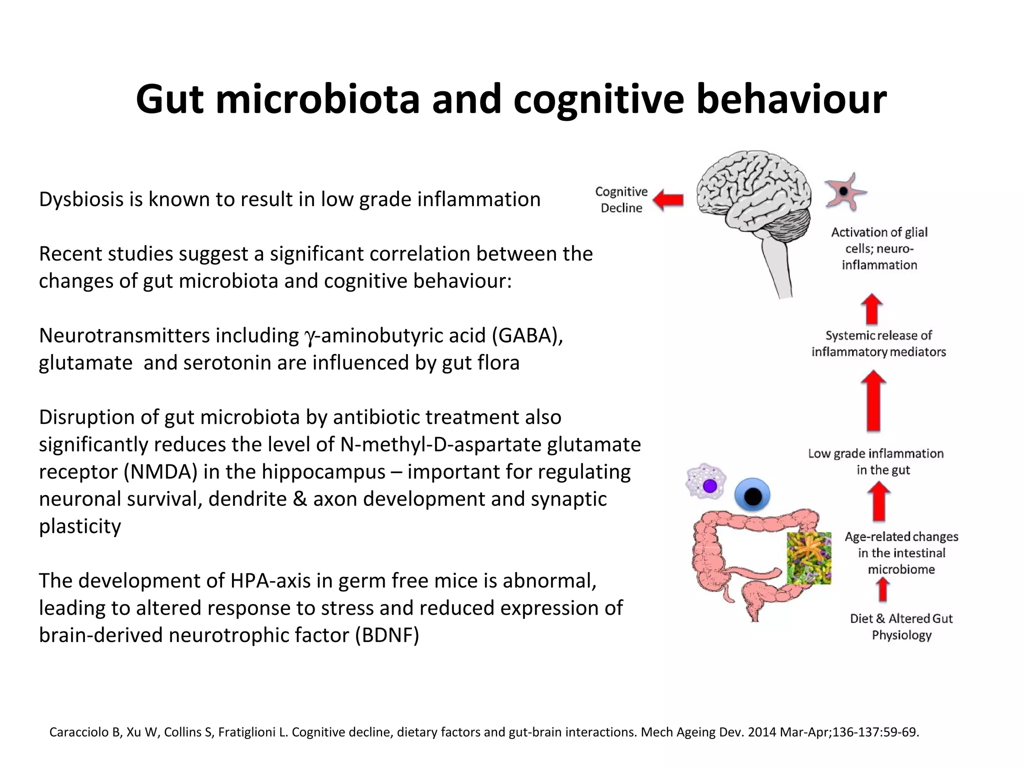 Gut microbiota and cognitive behaviour
Caracciolo B, Xu W, Collins S, Fratiglioni L. Cognitive decline, dietary factors and gut-brain interactions. Mech Ageing Dev. 2014 Mar-Apr;136-137:59-69.
Dysbiosis is known to result in low grade inflammation
Recent studies suggest a significant correlation between the
changes of gut microbiota and cognitive behaviour:
Neurotransmitters including γ-aminobutyric acid (GABA),
glutamate and serotonin are influenced by gut flora
Disruption of gut microbiota by antibiotic treatment also
significantly reduces the level of N-methyl-D-aspartate glutamate
receptor (NMDA) in the hippocampus – important for regulating
neuronal survival, dendrite & axon development and synaptic
plasticity
The development of HPA-axis in germ free mice is abnormal,
leading to altered response to stress and reduced expression of
brain-derived neurotrophic factor (BDNF)
 