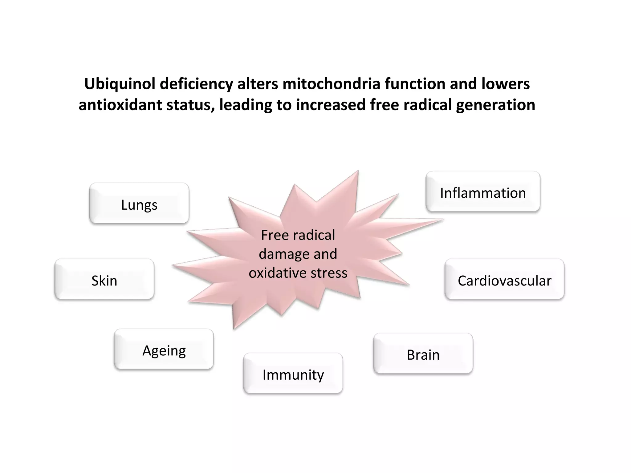 Free radical 
damage and 
oxidative stress
Skin
Lungs
Inflammation
Cardiovascular
Brain
Immunity
Ageing
Ubiquinol deficiency alters mitochondria function and lowers
antioxidant status, leading to increased free radical generation
 