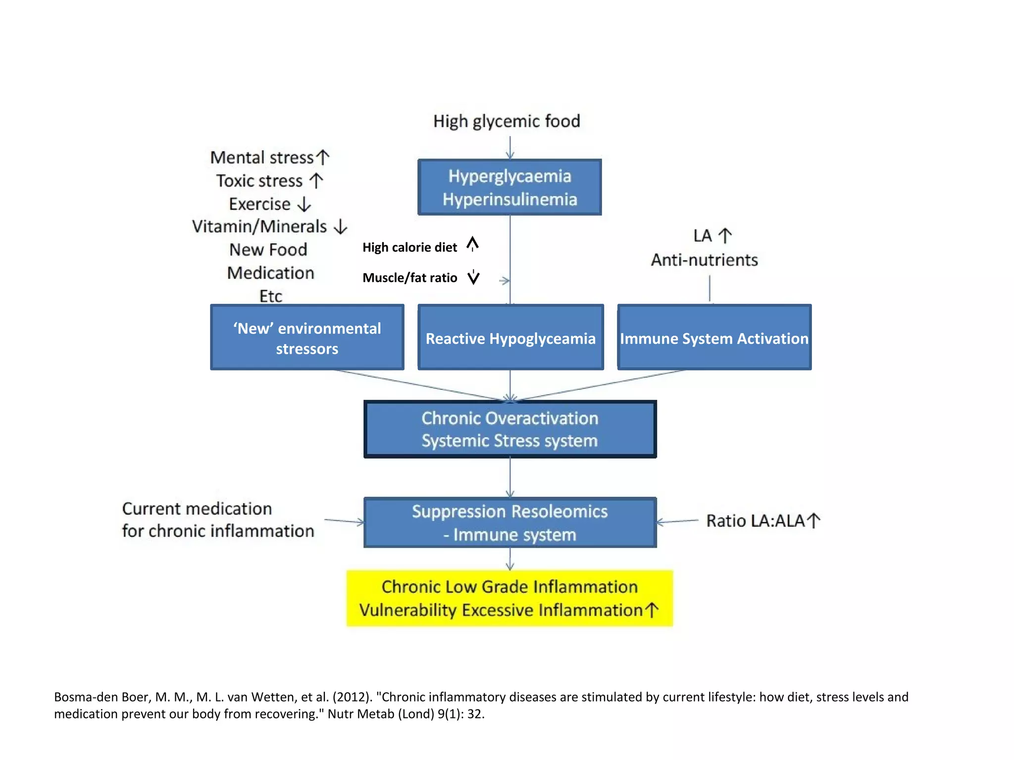 ‘New’ environmental
stressors
Reactive Hypoglyceamia Immune System Activation
High calorie diet
Muscle/fat ratio
Bosma-den Boer, M. M., M. L. van Wetten, et al. (2012). "Chronic inflammatory diseases are stimulated by current lifestyle: how diet, stress levels and
medication prevent our body from recovering." Nutr Metab (Lond) 9(1): 32.
 