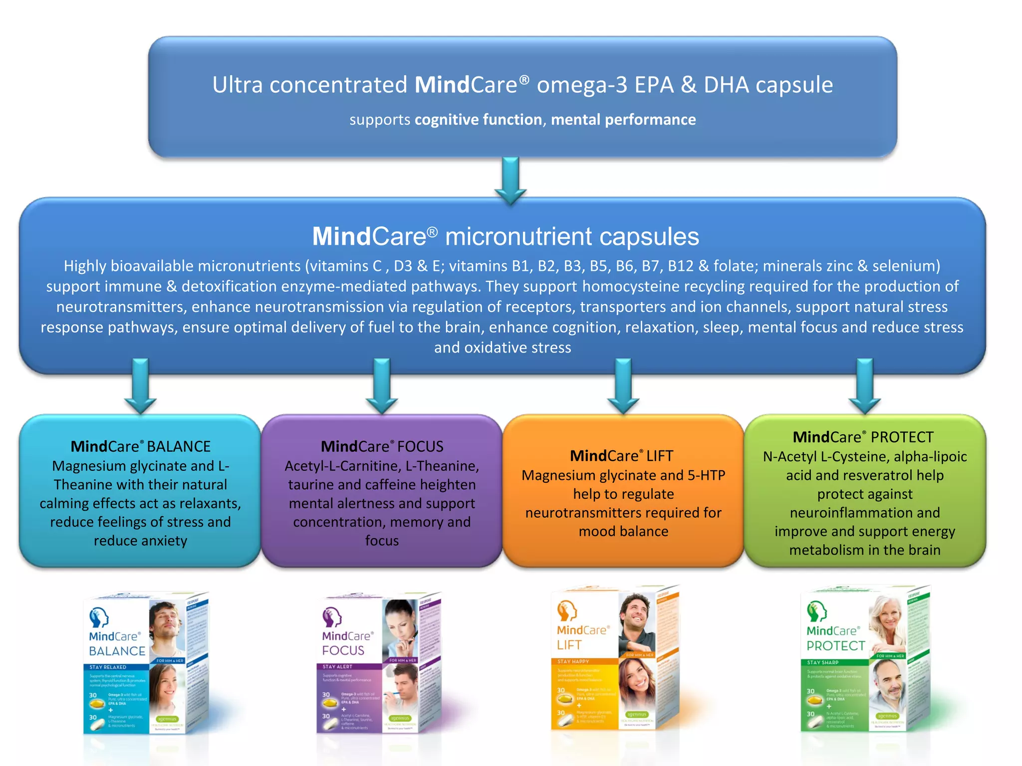MindCare®
BALANCE
Magnesium glycinate and L-
Theanine with their natural
calming effects act as relaxants,
reduce feelings of stress and
reduce anxiety
MindCare®
FOCUS
Acetyl-L-Carnitine, L-Theanine,
taurine and caffeine heighten
mental alertness and support
concentration, memory and
focus
MindCare®
LIFT
Magnesium glycinate and 5-HTP
help to regulate
neurotransmitters required for
mood balance
MindCare®
PROTECT
N-Acetyl L-Cysteine, alpha-lipoic
acid and resveratrol help
protect against
neuroinflammation and
improve and support energy
metabolism in the brain
Highly bioavailable micronutrients (vitamins C , D3 & E; vitamins B1, B2, B3, B5, B6, B7, B12 & folate; minerals zinc & selenium)
support immune & detoxification enzyme-mediated pathways. They support homocysteine recycling required for the production of
neurotransmitters, enhance neurotransmission via regulation of receptors, transporters and ion channels, support natural stress
response pathways, ensure optimal delivery of fuel to the brain, enhance cognition, relaxation, sleep, mental focus and reduce stress
and oxidative stress
Ultra concentrated MindCare® omega-3 EPA & DHA capsule
supports cognitive function, mental performance
MindCare®
micronutrient capsules
 