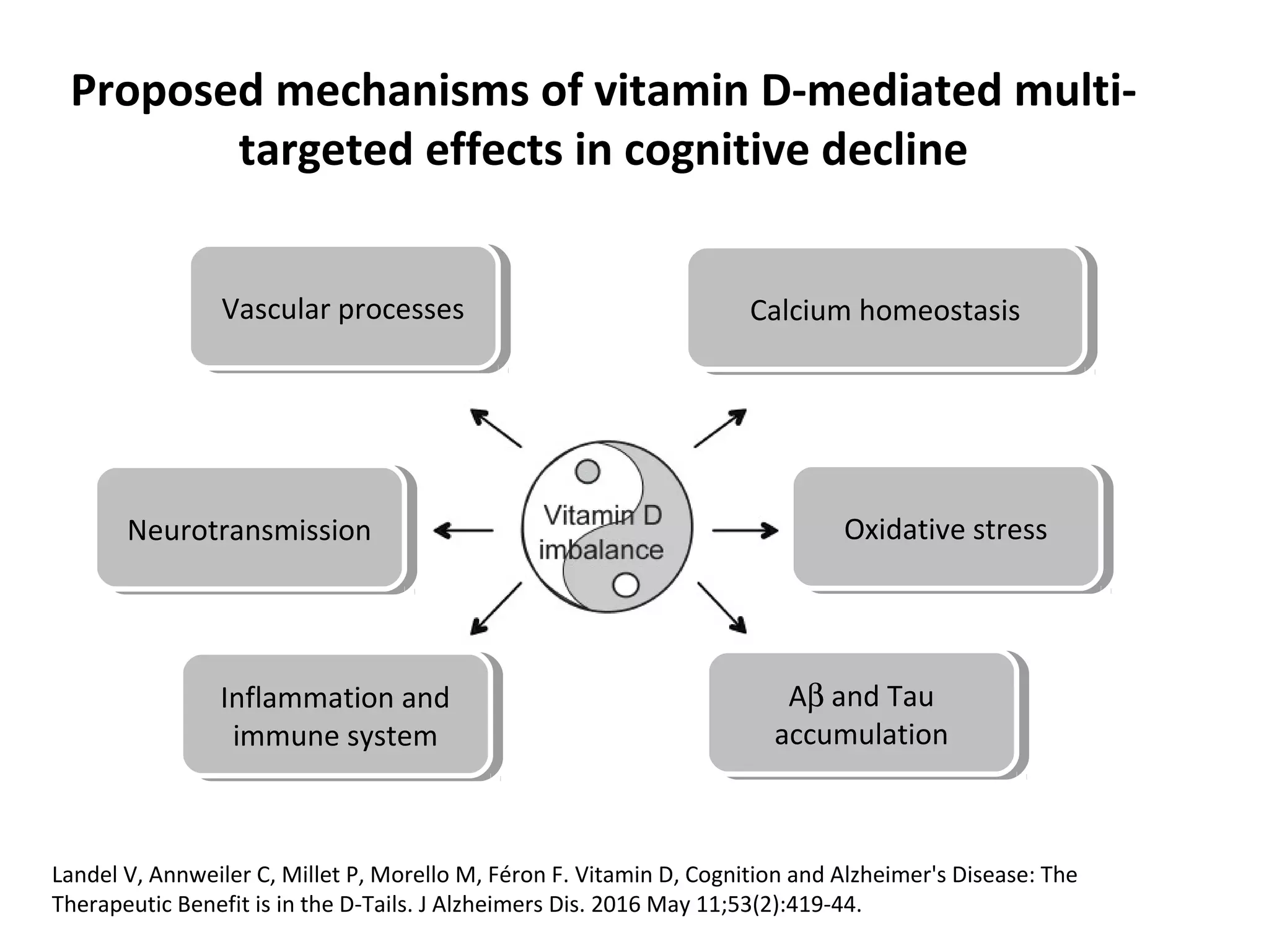 Vascular processesVascular processes Calcium homeostasisCalcium homeostasis
Oxidative stressOxidative stress
Aβ and Tau
accumulation
Aβ and Tau
accumulation
Inflammation and
immune system
Inflammation and
immune system
NeurotransmissionNeurotransmission
Proposed mechanisms of vitamin D-mediated multi-
targeted effects in cognitive decline
Landel V, Annweiler C, Millet P, Morello M, Féron F. Vitamin D, Cognition and Alzheimer's Disease: The
Therapeutic Benefit is in the D-Tails. J Alzheimers Dis. 2016 May 11;53(2):419-44.
 