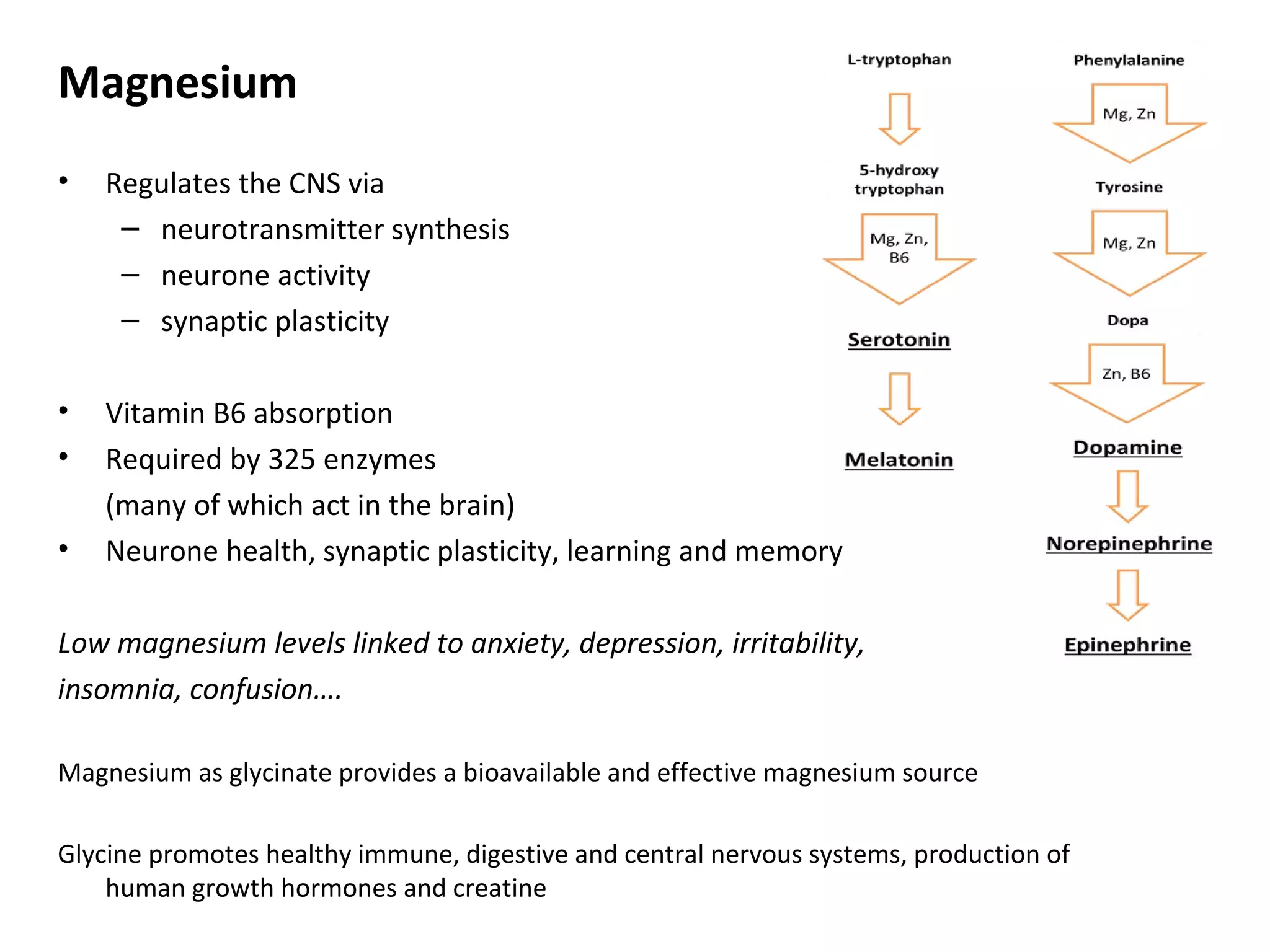 Magnesium
• Regulates the CNS via
– neurotransmitter synthesis
– neurone activity
– synaptic plasticity
• Vitamin B6 absorption
• Required by 325 enzymes
(many of which act in the brain)
• Neurone health, synaptic plasticity, learning and memory
Low magnesium levels linked to anxiety, depression, irritability,
insomnia, confusion….
Magnesium as glycinate provides a bioavailable and effective magnesium source
Glycine promotes healthy immune, digestive and central nervous systems, production of
human growth hormones and creatine
 
