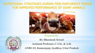 NUTRITIONAL STRATEGIES DURING PERI-PARTURIENT PERIOD
FOR IMPROVED PERFORMANCE OF DAIRY ANIMALS
Prepared By:
Dr. Dharmesh Tewari
Assistant Professor, C.V.Sc. & A.H.
ANDUAT, Kumarganj, Ayodhya, Uttar Pradesh
 