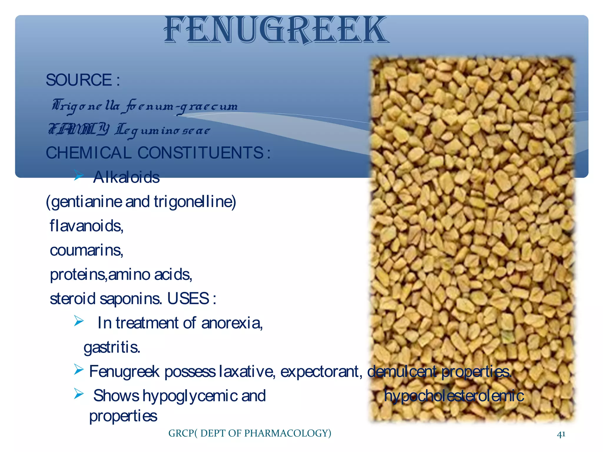 FENUGREEK
SOURCE :
Trig o ne lla fo e num-g rae cum
FA I Le g umino se ae
M LY:
CHEMICAL CONSTITUENTS :
 Alkaloids
(gentianine and trigonelline)
flavanoids,
coumarins,
proteins,amino acids,
steroid saponins. USES :
 In treatment of anorexia,
gastritis.
 Fenugreek possess laxative, expectorant, demulcent properties.
 Shows hypoglycemic and
hypocholesterolemic
properties
GRCP( DEPT OF PHARMACOLOGY)

41

 