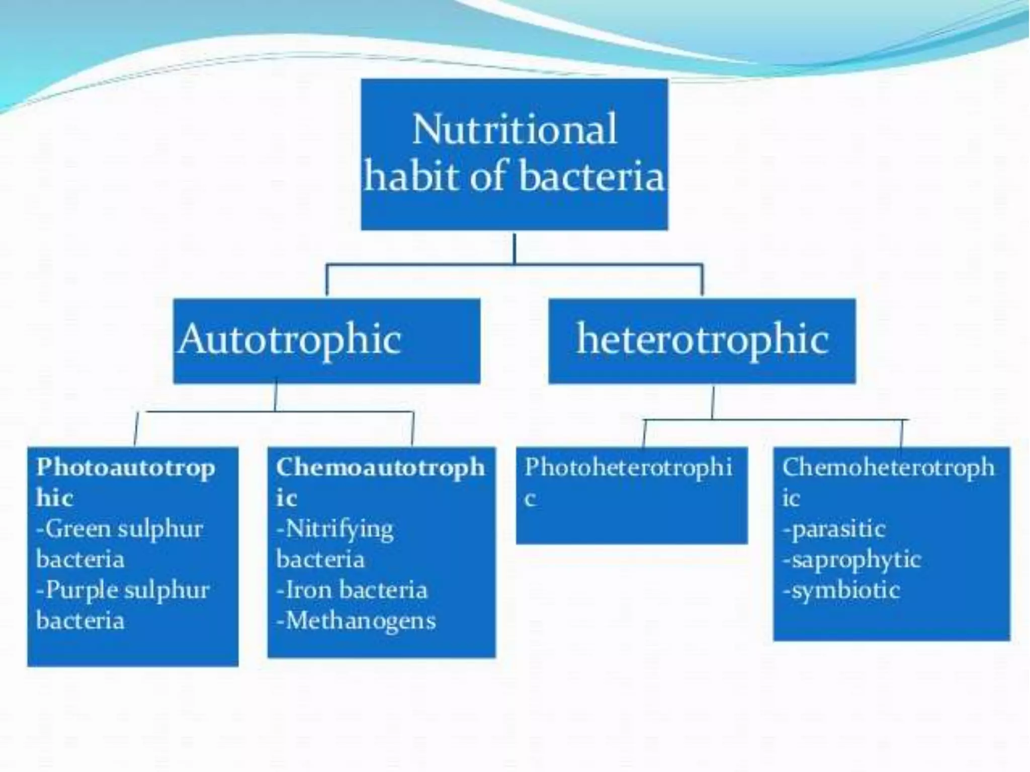 Nutritional types of bacteria | PPTX