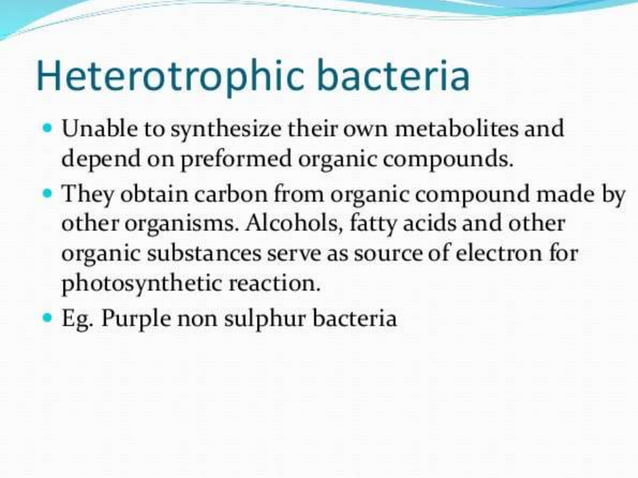 nutritional-types-of-bacteria