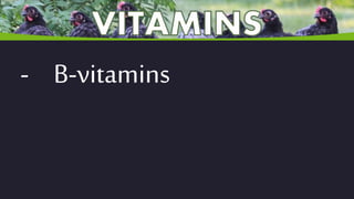 - B-vitamins
 