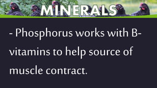 - Phosphorus works with B-
vitamins to help source of
muscle contract.
 