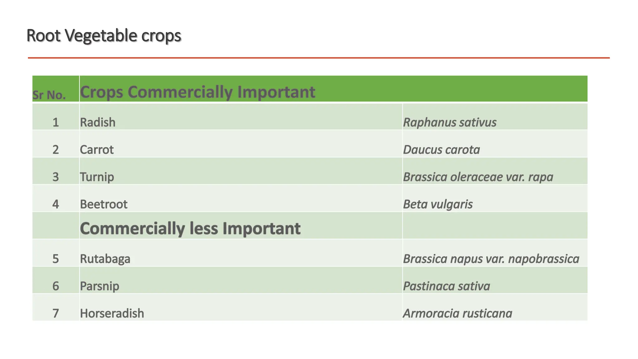 Nutritional value of root vegetable crops.pptx