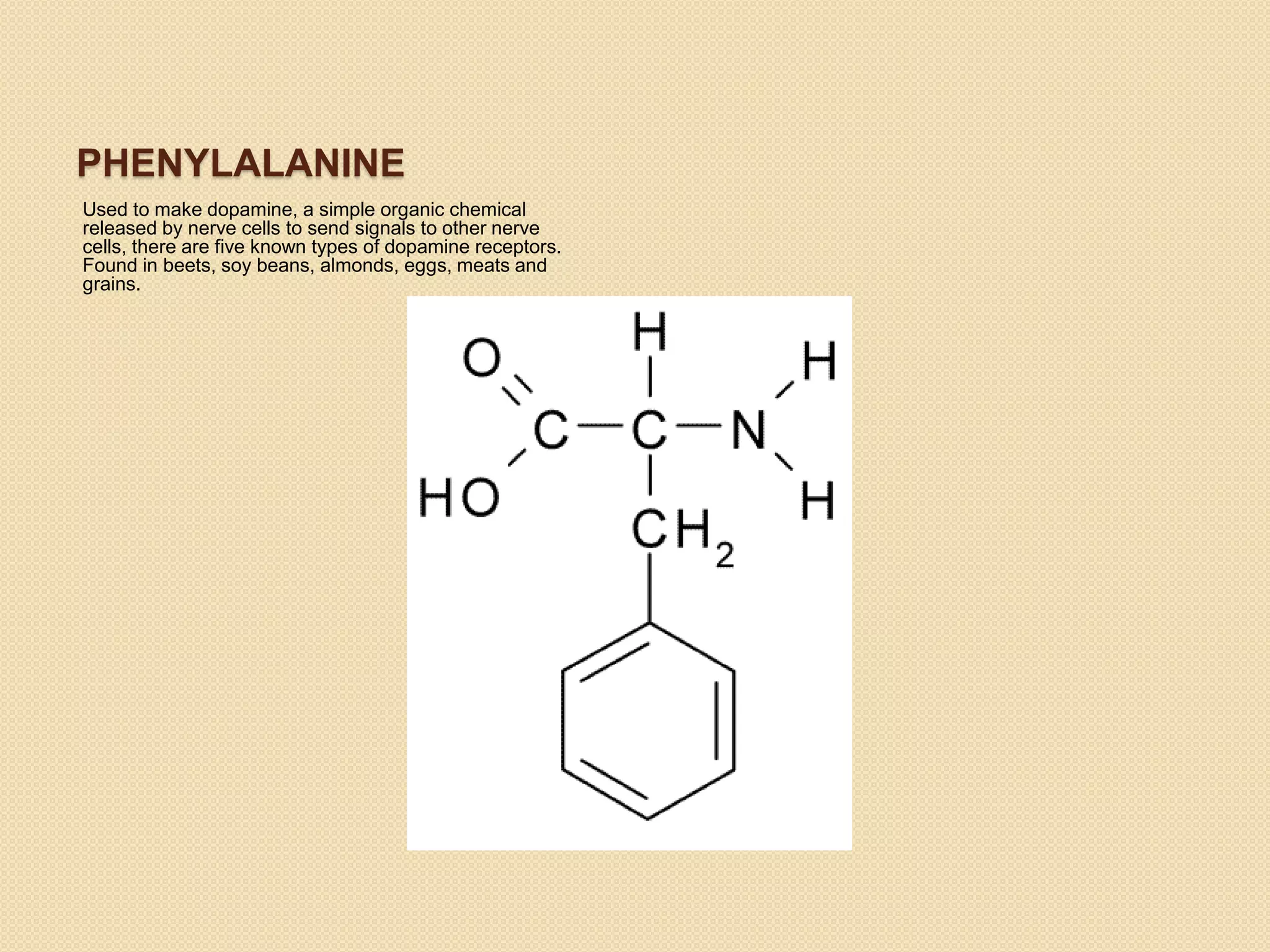 PHENYLALANINE
Used to make dopamine, a simple organic chemical
released by nerve cells to send signals to other nerve
cells, there are five known types of dopamine receptors.
Found in beets, soy beans, almonds, eggs, meats and
grains.
 