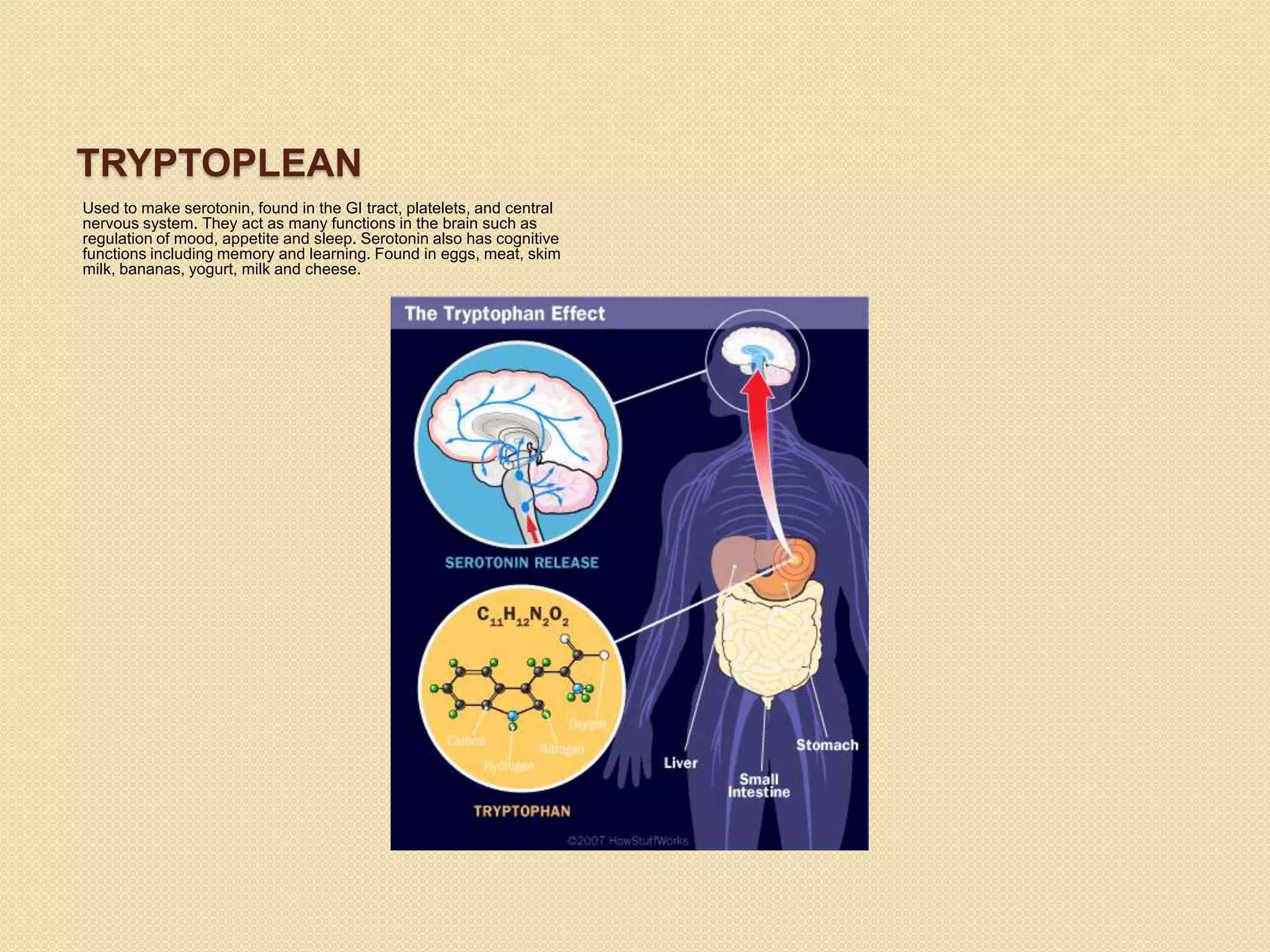 TRYPTOPLEAN
Used to make serotonin, found in the GI tract, platelets, and central
nervous system. They act as many functions in the brain such as
regulation of mood, appetite and sleep. Serotonin also has cognitive
functions including memory and learning. Found in eggs, meat, skim
milk, bananas, yogurt, milk and cheese.
 