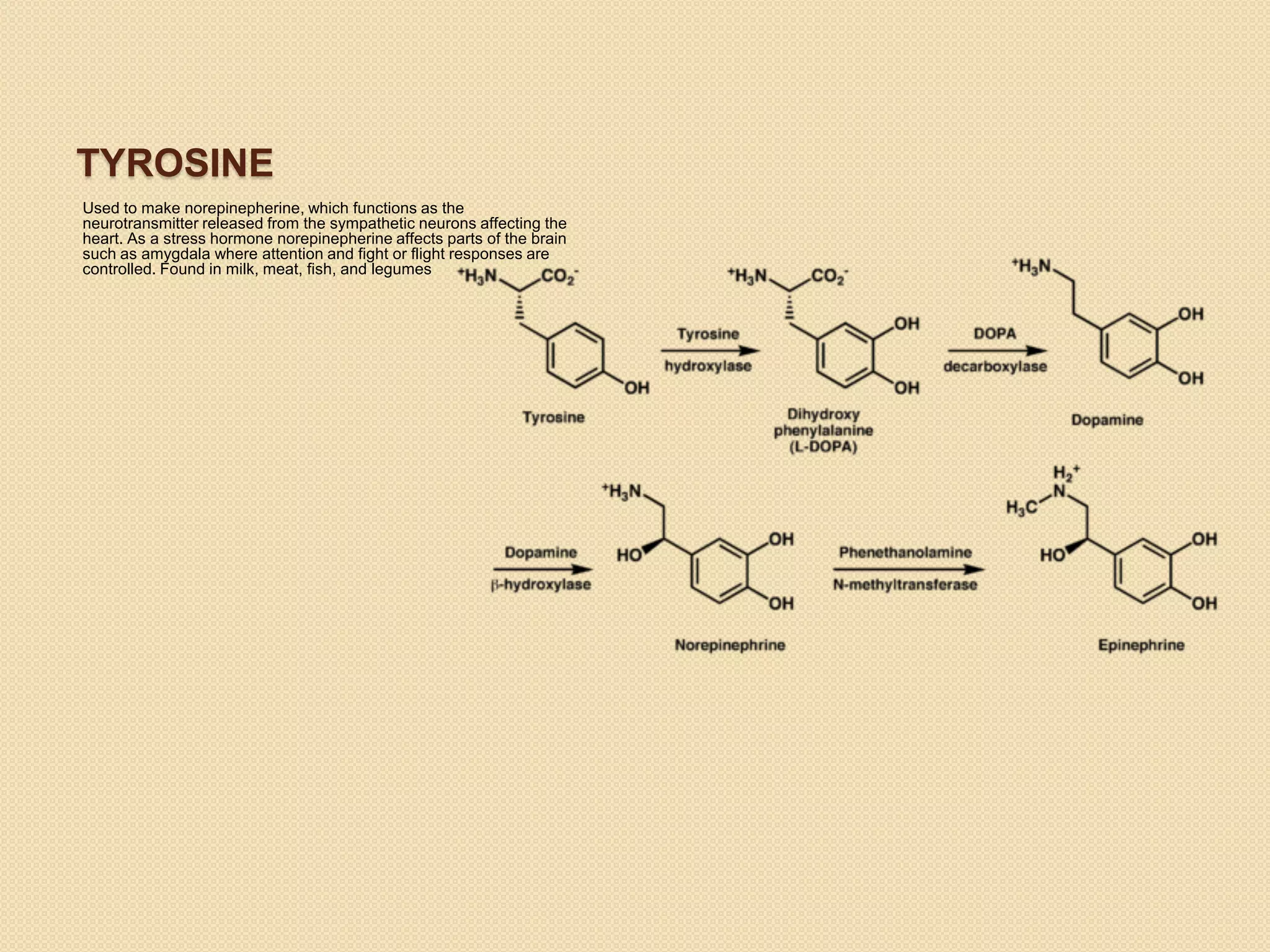 TYROSINE
Used to make norepinepherine, which functions as the
neurotransmitter released from the sympathetic neurons affecting the
heart. As a stress hormone norepinepherine affects parts of the brain
such as amygdala where attention and fight or flight responses are
controlled. Found in milk, meat, fish, and legumes
 