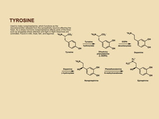 TYROSINE
Used to make norepinepherine, which functions as the
neurotransmitter released from the sympathetic neurons affecting the
heart. As a stress hormone norepinepherine affects parts of the brain
such as amygdala where attention and fight or flight responses are
controlled. Found in milk, meat, fish, and legumes
 