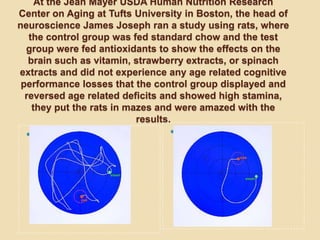 At the Jean Mayer USDA Human Nutrition Research
Center on Aging at Tufts University in Boston, the head of
neuroscience James Joseph ran a study using rats, where
   the control group was fed standard chow and the test
  group were fed antioxidants to show the effects on the
   brain such as vitamin, strawberry extracts, or spinach
extracts and did not experience any age related cognitive
 performance losses that the control group displayed and
  reversed age related deficits and showed high stamina,
    they put the rats in mazes and were amazed with the
                           results.
    Control group                 Test group
 