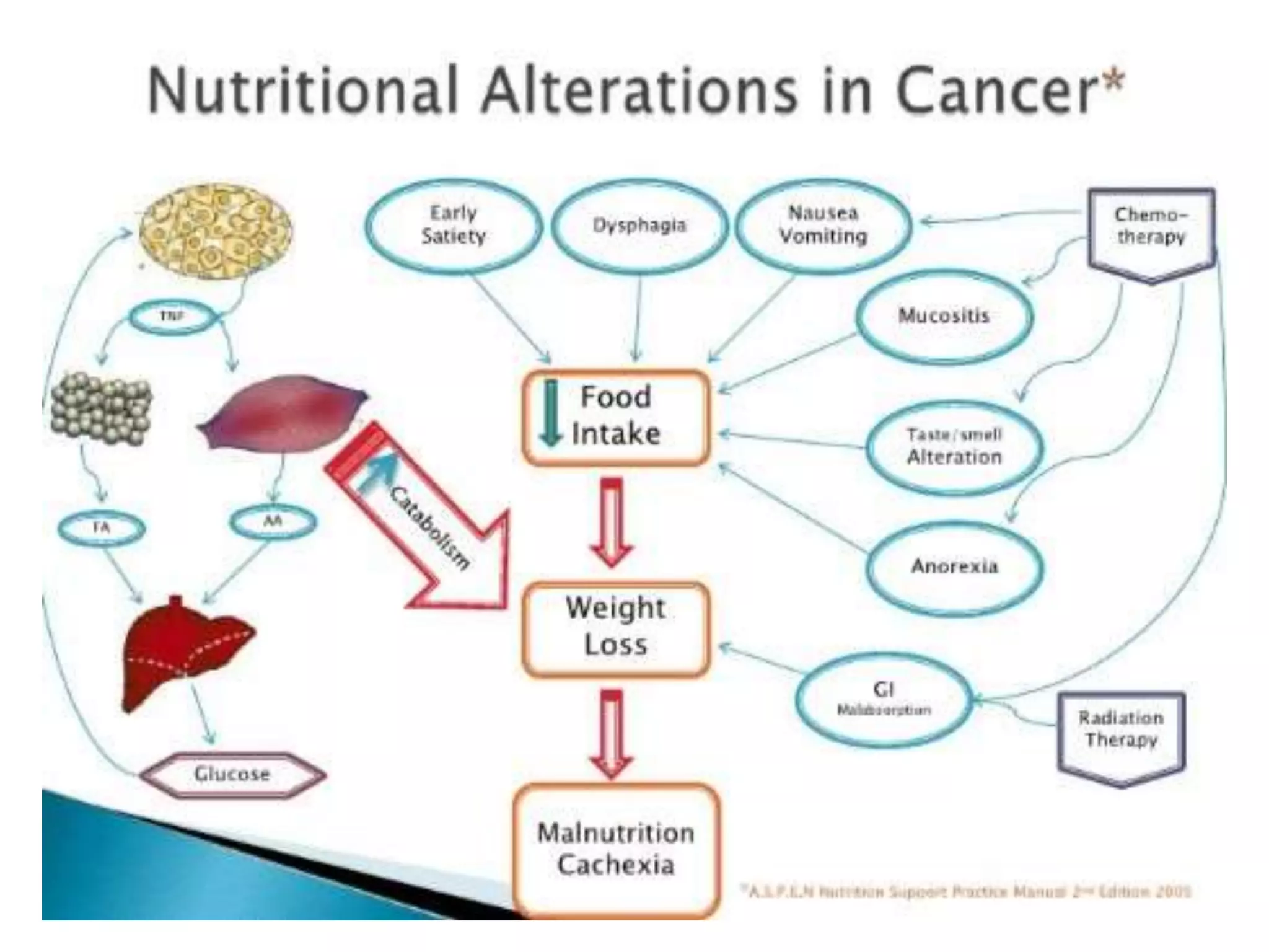 Nutritional management in cancer patient. | PPTX