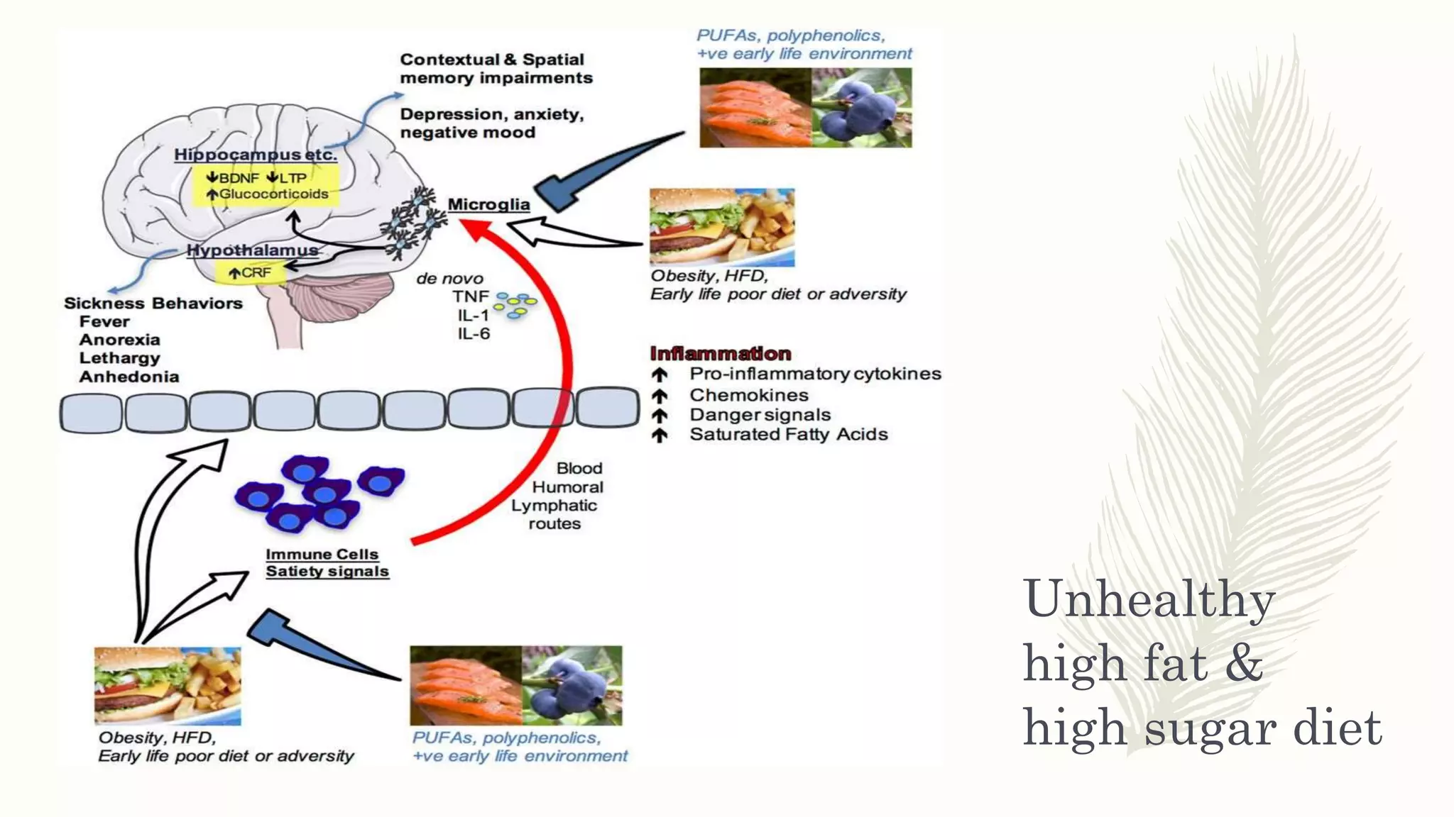 Unhealthy
high fat &
high sugar diet
 