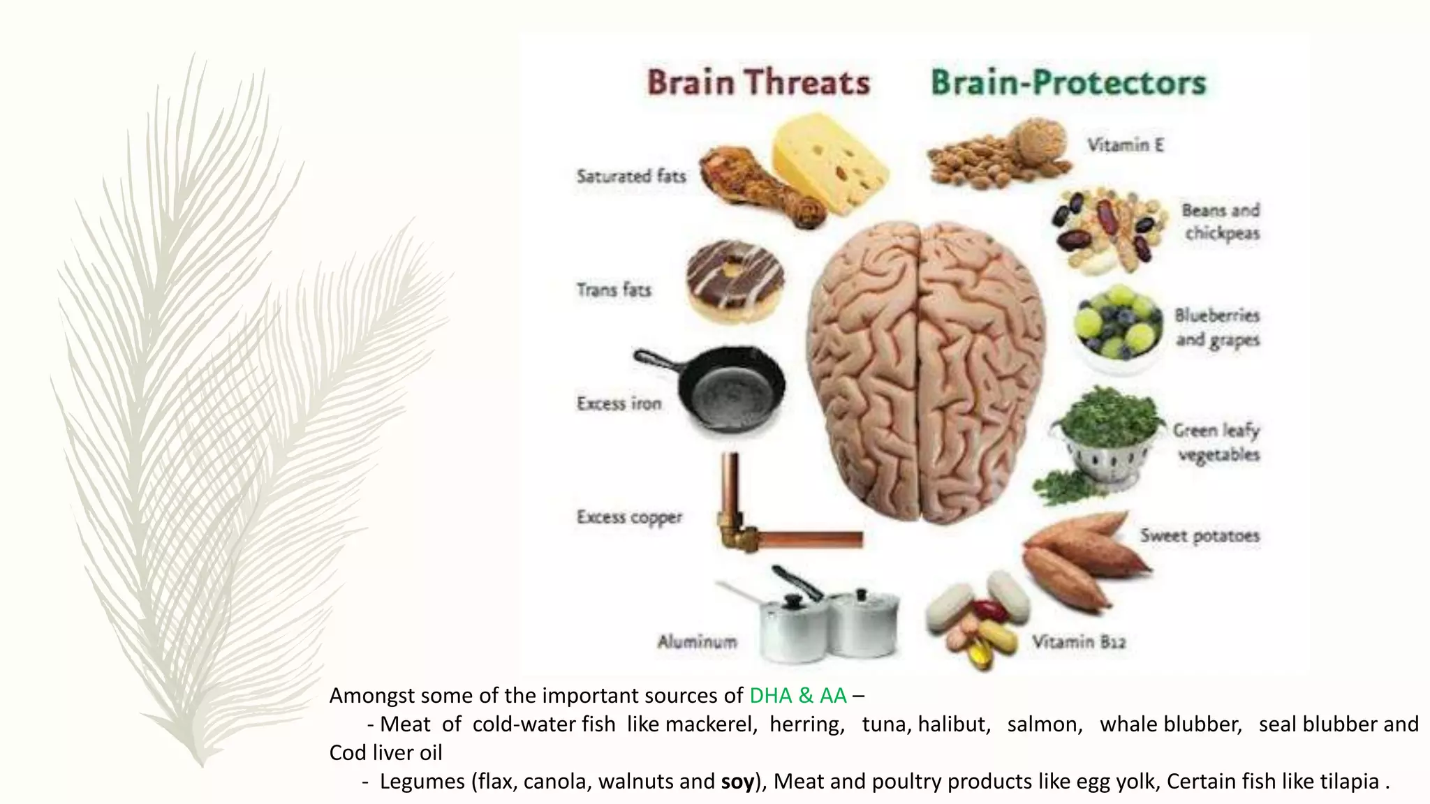 Amongst some of the important sources of DHA & AA –
- Meat of cold-water fish like mackerel, herring, tuna, halibut, salmon, whale blubber, seal blubber and
Cod liver oil
- Legumes (flax, canola, walnuts and soy), Meat and poultry products like egg yolk, Certain fish like tilapia .
 