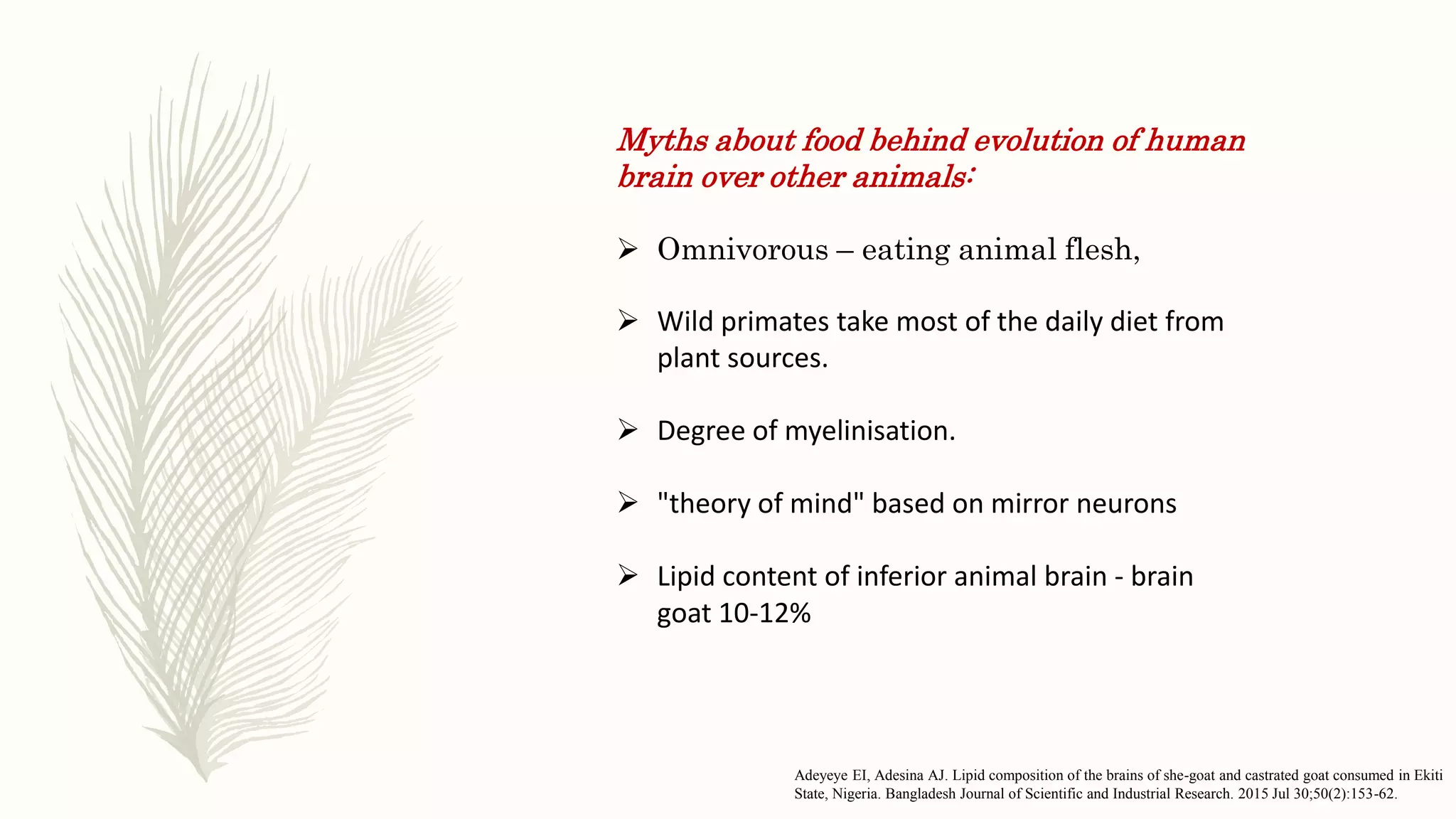 Myths about food behind evolution of human
brain over other animals:
 Omnivorous – eating animal flesh,
 Wild primates take most of the daily diet from
plant sources.
 Degree of myelinisation.
 "theory of mind" based on mirror neurons
 Lipid content of inferior animal brain - brain
goat 10-12%
Adeyeye EI, Adesina AJ. Lipid composition of the brains of she-goat and castrated goat consumed in Ekiti
State, Nigeria. Bangladesh Journal of Scientific and Industrial Research. 2015 Jul 30;50(2):153-62.
 