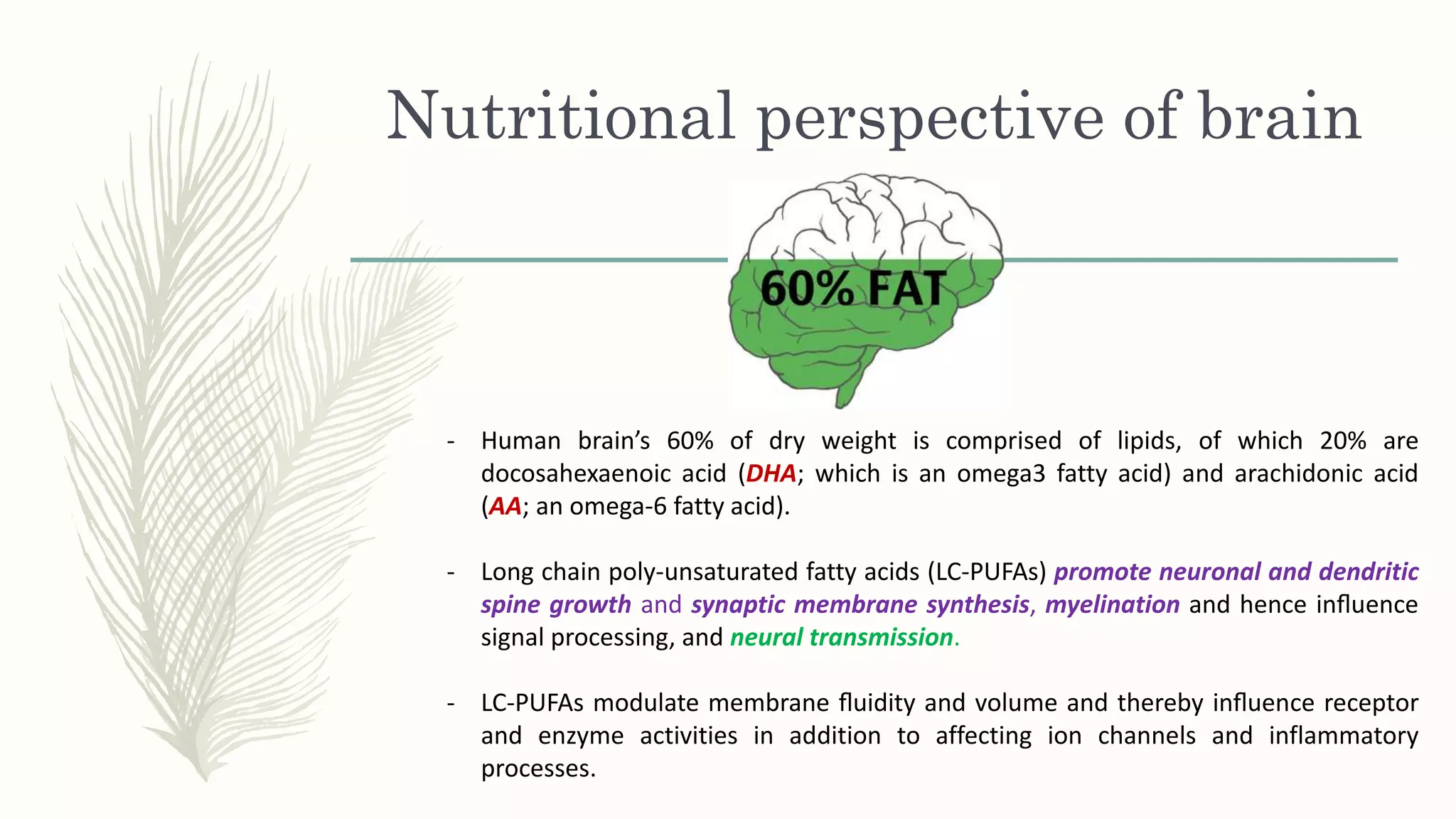 Nutritional perspective of brain
- Human brain’s 60% of dry weight is comprised of lipids, of which 20% are
docosahexaenoic acid (DHA; which is an omega3 fatty acid) and arachidonic acid
(AA; an omega-6 fatty acid).
- Long chain poly-unsaturated fatty acids (LC-PUFAs) promote neuronal and dendritic
spine growth and synaptic membrane synthesis, myelination and hence inﬂuence
signal processing, and neural transmission.
- LC-PUFAs modulate membrane ﬂuidity and volume and thereby inﬂuence receptor
and enzyme activities in addition to affecting ion channels and inflammatory
processes.
 