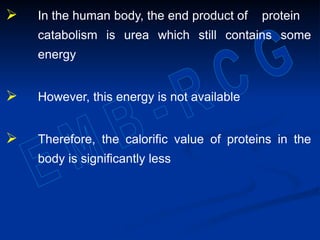  In the human body, the end product of protein
catabolism is urea which still contains some
energy
 However, this energy is not available
 Therefore, the calorific value of proteins in the
body is significantly less
 