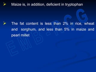  Maize is, in addition, deficient in tryptophan
 The fat content is less than 2% in rice, wheat
and sorghum, and less than 5% in maize and
pearl millet
 