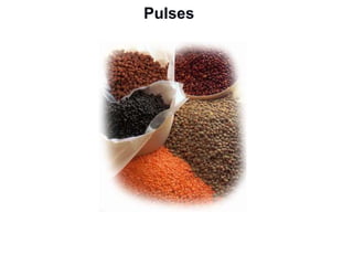 Pulses
 
