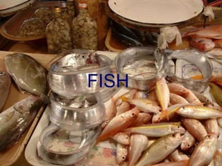 FISH
 