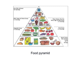 Food pyramid
 