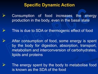 Specific Dynamic Action
 Consumption of food increases the energy
production in the body, even in the basal state
 This is due to SDA or thermogenic effect of food
 After consumption of food, some energy is spent
by the body for digestion, absorption, transport,
metabolism and interconversion of carbohydrates,
lipids and proteins
 The energy spent by the body to metabolise food
is known as the SDA of the food
 
