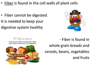 • Fiber is found in the cell walls of plant cells
• Fiber cannot be digested.
It is needed to keep your
digestive system healthy

- Fiber is found in
whole grain breads and
cereals, beans, vegetables
and fruits

 