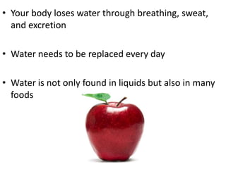 • Your body loses water through breathing, sweat,
and excretion
• Water needs to be replaced every day
• Water is not only found in liquids but also in many
foods

 