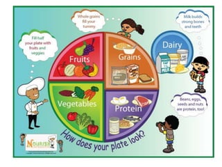 Nutritio nand digestion1
