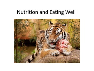 Nutrition and Eating Well
 