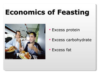 Economics of Feasting Excess protein Excess carbohydrate Excess fat 