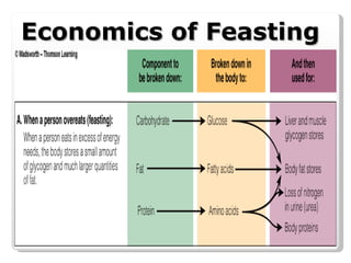 Economics of Feasting 