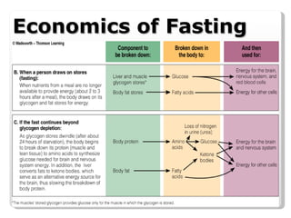 Economics of Fasting WMSU BSND Review 2007 