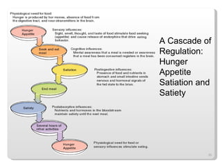 A Cascade of Regulation:  Hunger Appetite Satiation and Satiety 