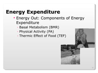 Energy Expenditure Energy Out: Components of Energy Expenditure Basal Metabolism (BMR) Physical Activity (PA) Thermic Effect of Food (TEF) 