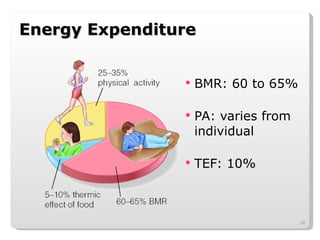 Energy Expenditure BMR: 60 to 65%  PA: varies from individual TEF: 10%  