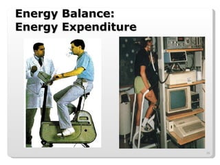 Energy Balance:  Energy Expenditure 