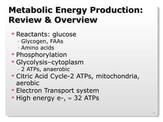 Metabolic Energy Production: Review & Overview Reactants: glucose Glycogen, FAAs Amino acids Phosphorylation Glycolysis–cytoplasm 2 ATPs, anaerobic Citric Acid Cycle-2 ATPs, mitochondria, aerobic Electron Transport system High energy e-,    32 ATPs  
