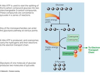 WMSU BSND Review 2007 